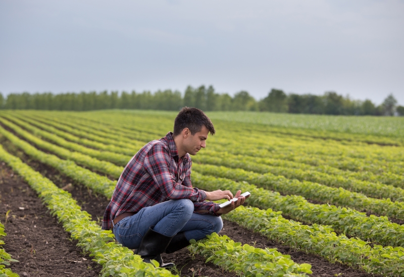 Agriculture Management Course